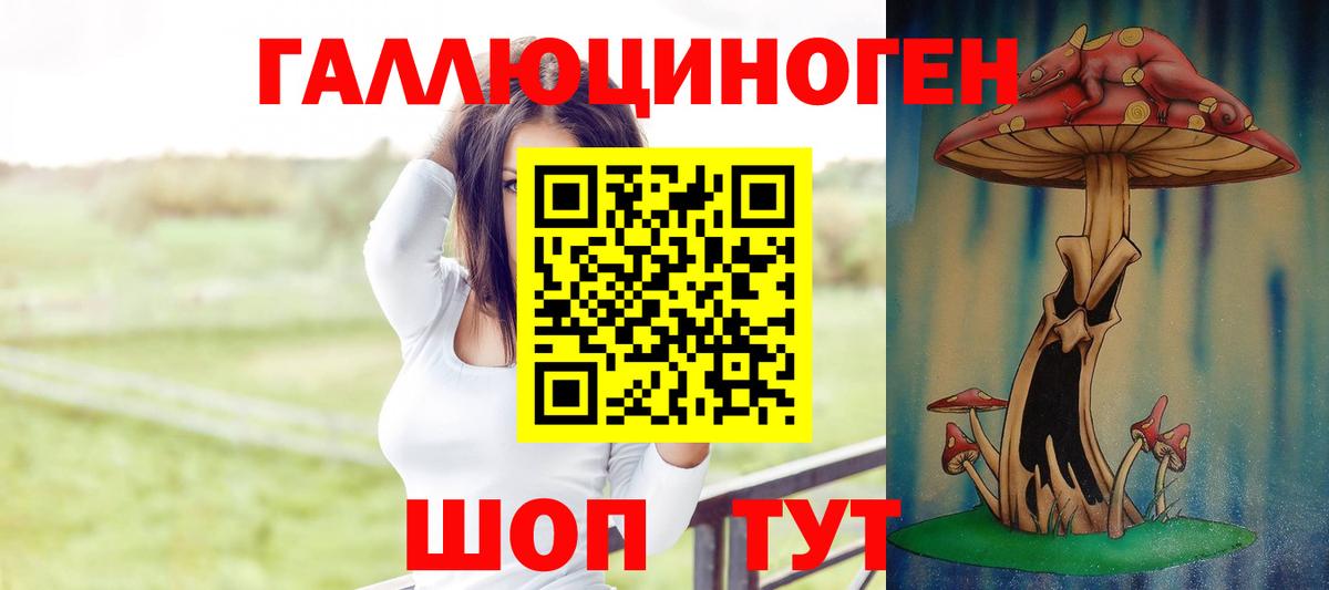 Новокубанск  Галлюциногенные грибы Cubensis  Вход с VPN  Псилоцибиновые грибы MAGIC MUSHROOMS 