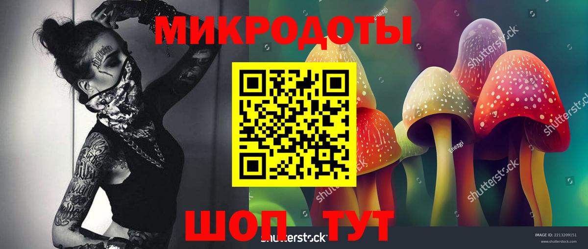 Галлюциногенные грибы MAGIC MUSHROOMS Новокубанск